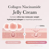 [Abo 40% Rabatt] Collagen Niacinamide Jelly Cream
